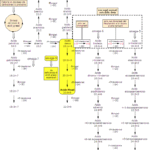 Sintesi dell'Acido (5Z,8Z,11Z)-icosa-5,8,11-trienoico Metabolismo dell'Acido Mead