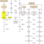 Sintesi dell'Acido (Z)-esadeca-9-enoico Fig. 1 - Sintesi dell'Acido Palmitoleico