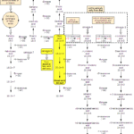 Synthesis of (5Z,8Z,11Z)-icosa-5,8,11-trienoic Acid Synthesis of Mead Acid