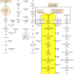 Metabolism of (6Z,9Z,12Z)-octadeca-6,9,12-trienoic Acid Metabolism of gamma-Linolenic acid