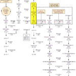 Synthesis of (Z)-docos-13-enoic Acid Synthesis of Erucic Acid