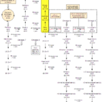 Synthesis of (Z)-tetracos-15-enoic Acid Synthesis of Nervonic Acid