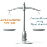 Daily Caloric Balance Body Fat: Daily Caloric Balance