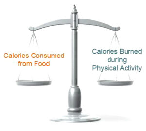 Daily Caloric Balance Body Fat