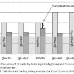 Oxidation Rate of Ingested Carbohydrates Prolonged Exercise: Maltodextrin and Fructose: Oxidation of Ingested Carbohydrates