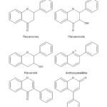 Flavones, Flavonols, Flavanones, Flavanonols, Flavanols or Catechins and Anthocyanins Flavonoids: the Subgroups