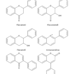 Flavoni, Flavonoli, Flavanoni, Flavanonoli, Flavanoli o Catechine ed Antociani. Sottogruppi di Flavonoidi