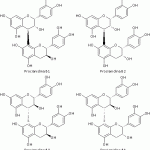 Procianidine B1-B4: Formula di Struttura Procianidine
