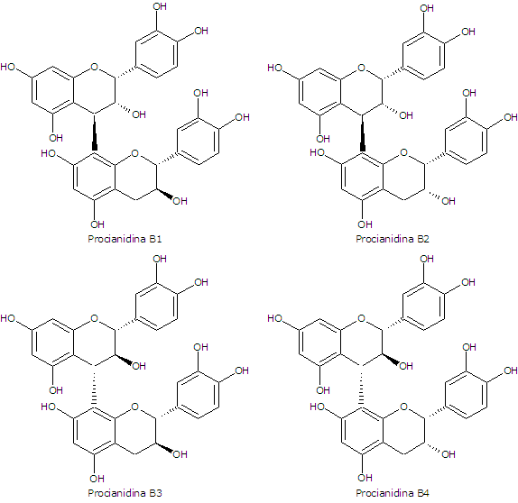 Procianidine B1, B2, B3 e B4 Proantocianidine