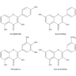 Quercetina, Campferolo, Miricetina, Isoramnetina Flavonoli