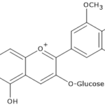 Anthocyanins: Malvidin-3-O-glucoside Polyphenols in Grapes