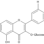 Flavonols: Quercetin-3-O-glucoside Polyphenols in Grapes