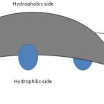 Structure of Cholic Acid in a Cartoon Representation Bile Salts