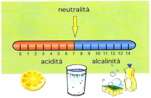 La scala del pH in relazione alla acido metabolica conseguente alla dieta