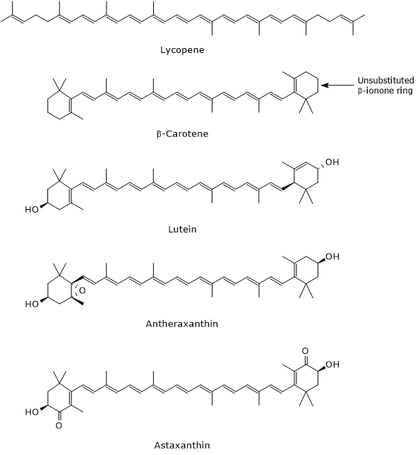 Structural formulas of carotenoids including lycopene, β-carotene, lutein, antheraxanthin, and astaxanthin, with an arrow highlighting the unsubstituted beta-ionone ring in β-carotene.