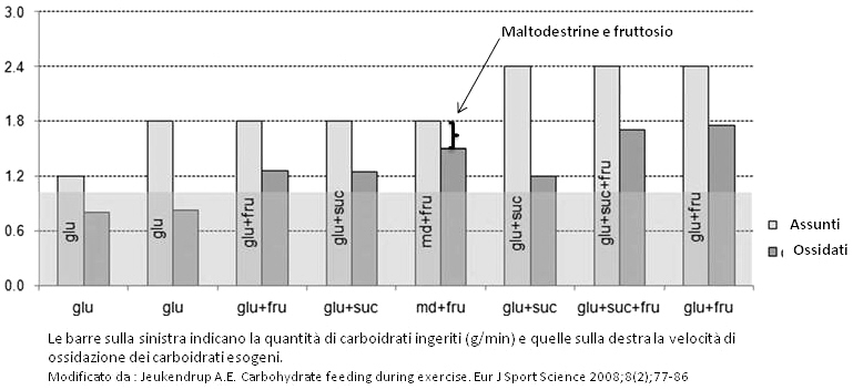 Maltodestrine e fruttosio: ossidazione dei carboidrati ingeriti