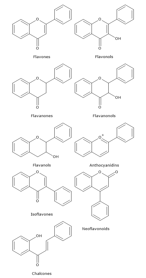 Basic skeleton structure of flavonoid subclasses