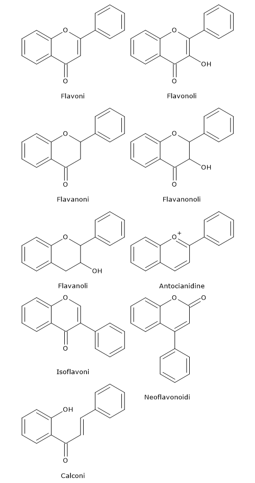 Formule di struttura di base di flavoni, flavonoli, flavanoni, flavanonoli, catechine, antociani