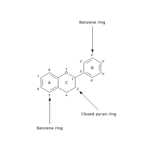 Basic skeleton structure of flavonoids, the most abundant polyphenols in human diet