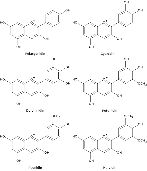 Skeletal formulas of different types of anthocyanins