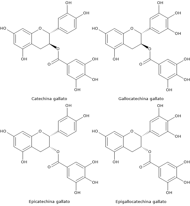Formule di struttura di alcuni derivati gallati di catechina, come EGCG