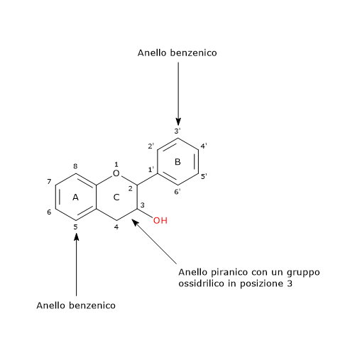 Formula di struttura dello scheletro di base delle catechine