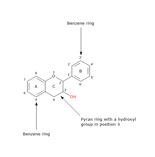 Basic skeleton structure of catechins, among the most abundant flavonoids in human diet