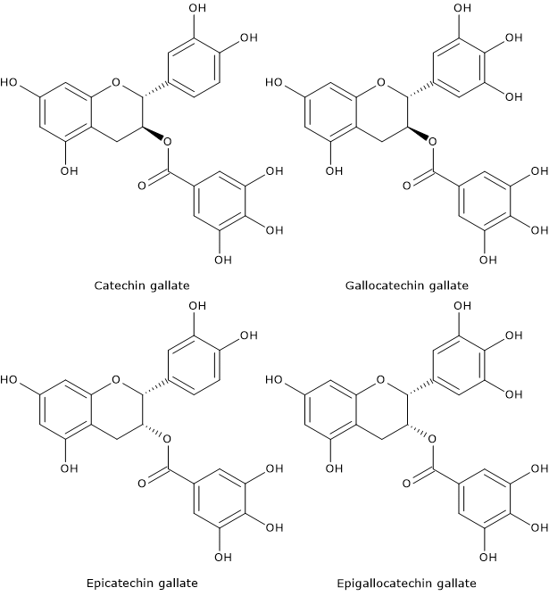 Structural formulas of gallic acid ester derivatives of catechins