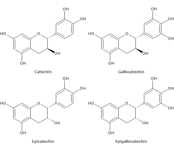 Skeletal formulas of catechin, epicatechin, gallocatechin, epigallocatechin