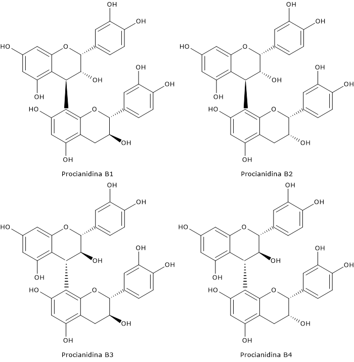 Formula di struttura della procianidine B1, B2, B3 e B4