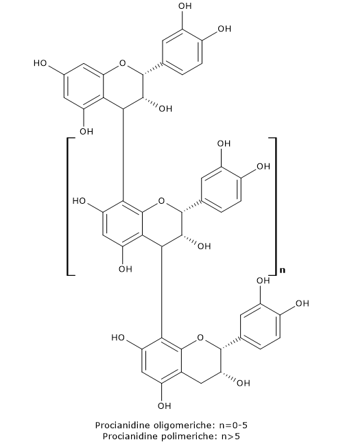 Formula di struttura dello scheletro base delle procianidine, un tipo di proantocianidine