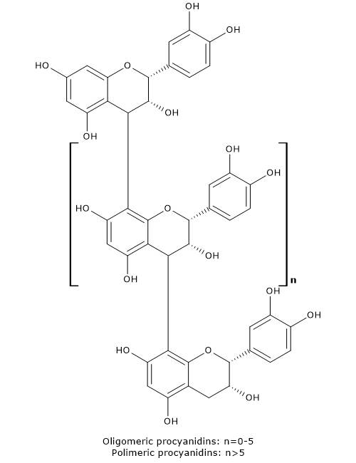 Basic skeleton structure of procyanidins, a type of proanthocyanidins