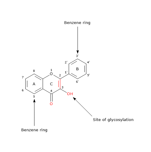 3-Hydroxyflavone, the basic skeleton structure of flavonols