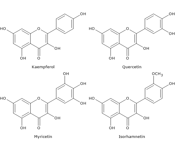 Skeletal formulas of flavonols such as quercetin and kaempferol