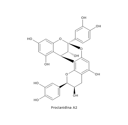 Formula di struttura di una delle procianidine: la procianidina A2