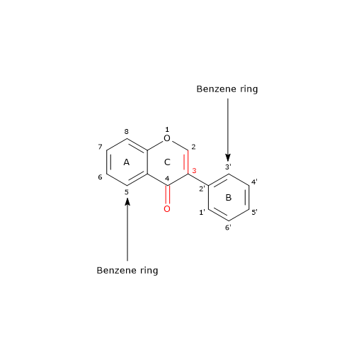 Basic skeleton structure of isoflavones, polyphenols belonging to the flavonoid family