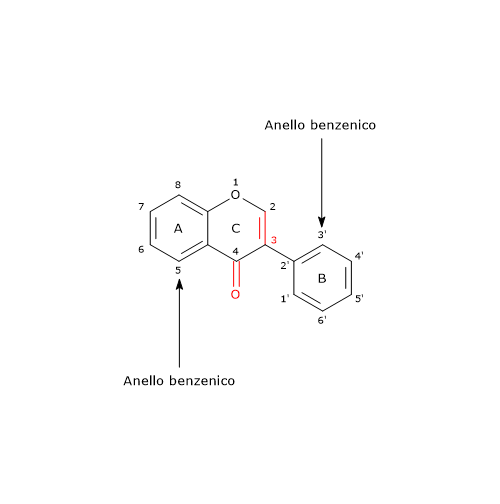 Formula di struttura dello scheletro di base degli isoflavoni, polifenoli della famiglia dei flavonoidi