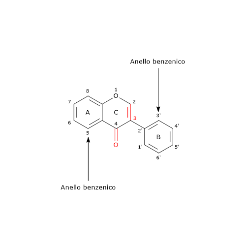 Formula di struttura dello scheletro di base degli isoflavoni