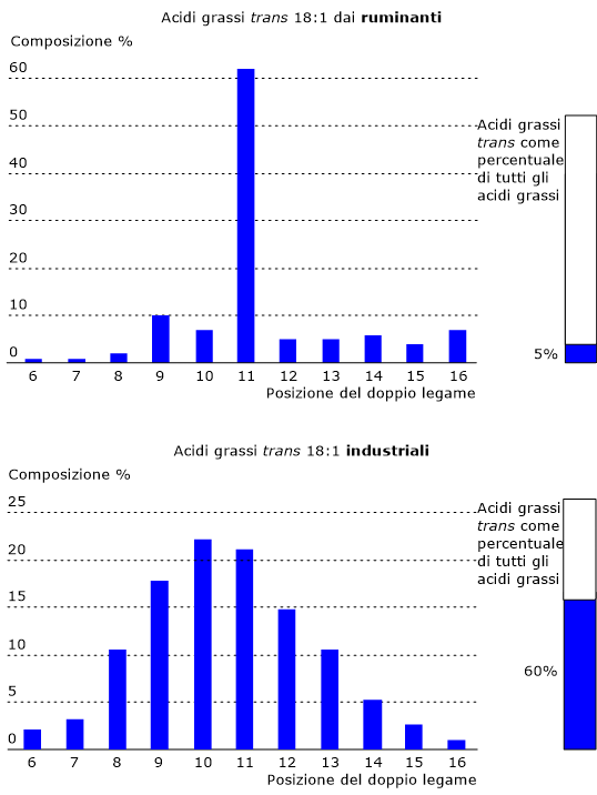  Isomeri trans dell'acido grasso C18:1, il gruppo più importante di acidi grassi trans