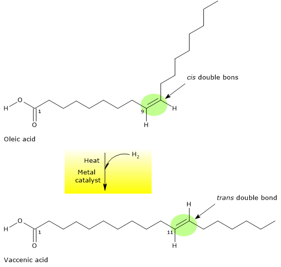 The cis to trans isomerization of oleic acid to vaccenic acid
