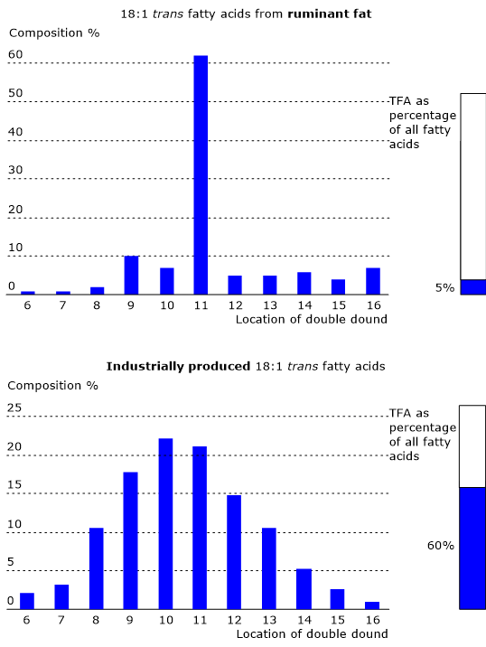 trans-C18:1 fatty acid isomers, the most important cluster of trans fatty acids