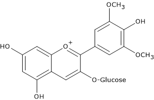Skeletal formula of malvidin-3-glucoside, an anthocyanin