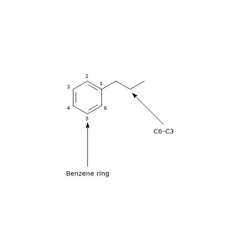 Basic skeleton structure of hydroxycinnamic acids, phenolic compounds belonging to non-flavonoid polyphenols