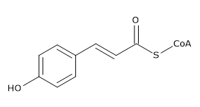 p-Cumaroyl-CoA: Structural Formula Flavonoid Biosynthesis