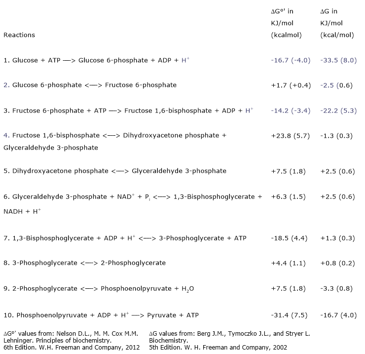 Standard and actual free-energy changes of glycolytic reactions