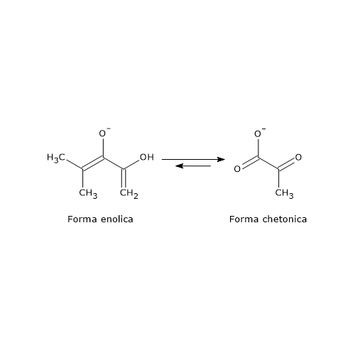 Forme tautomeriche, enolica e chetonica, del piruvato