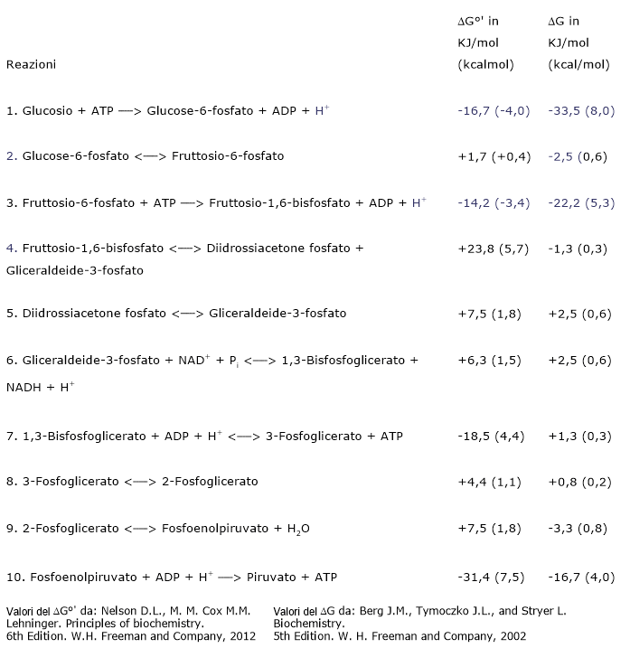 Variazioni dell'energia libera delle reazioni della glicolisi