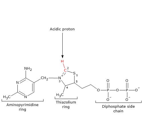 Skeletal formula of thiamine pyrophosphate, the active form of vitamin B1