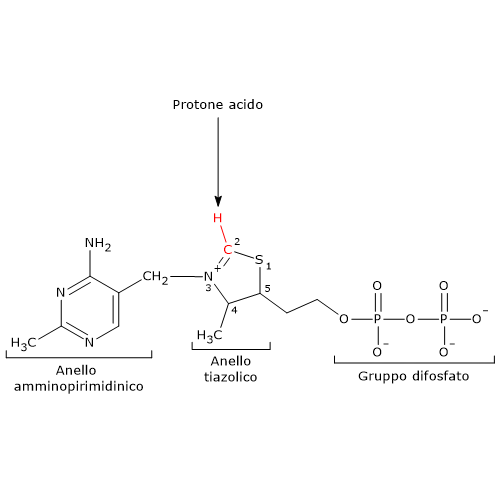 Formula di struttura della tiamina pirofosfato, la forma attiva della vitamina B1