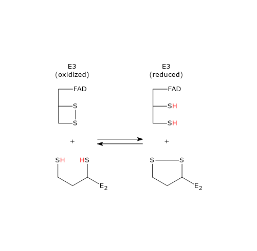  Oxidation of Dihydrolipoamide by Dihydrolipoyl Dehydrogenase